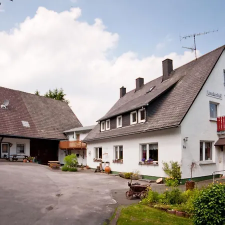 Apartment Lindenhof Willingen (Upland)