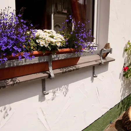 Lindenhof Appartement Willingen (Upland)