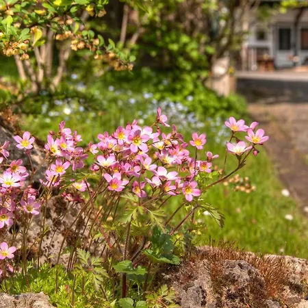 Appartement Lindenhof Willingen (Upland)