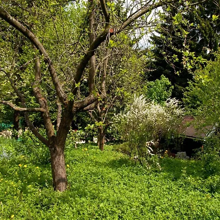 Lindenhof Apartment *