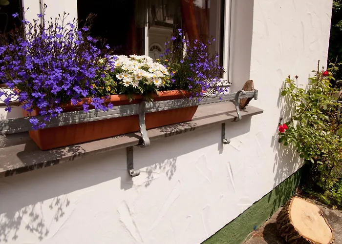 Lindenhof Appartement Willingen (Upland)