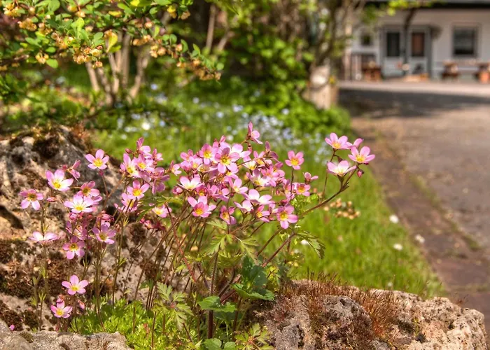 아파트 Lindenhof 빌링겐