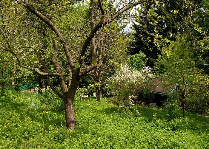 Lindenhof 아파트 *